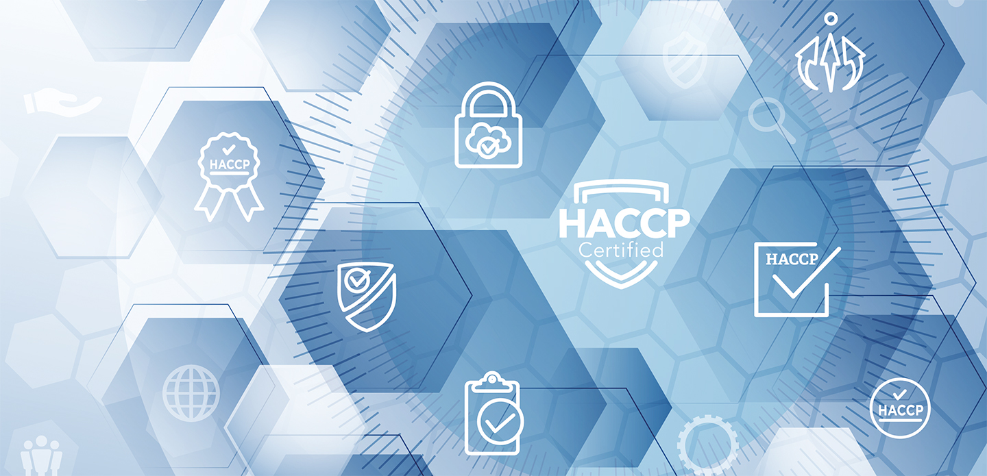 HACCP Icons vor wabenförmigen Hintergrund